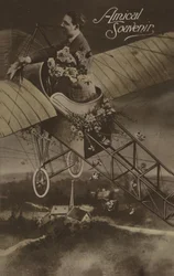 Flugzeug voller Blumen